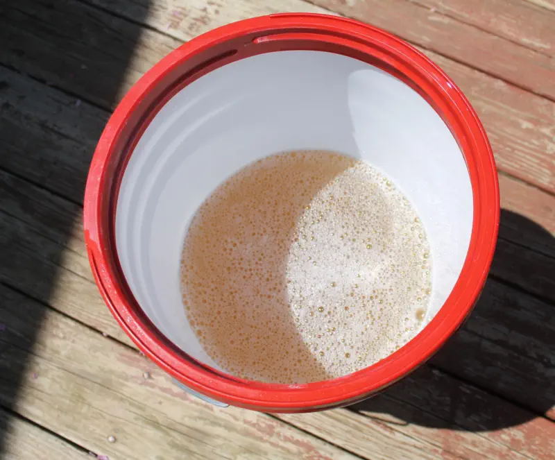 bucket with dirty water